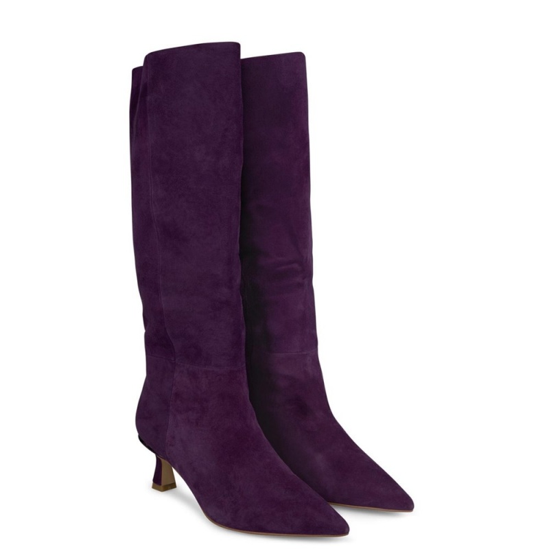 Bottes à Talons Alma En Pena Pointed Embout Bleu Femme | JOY-53453050